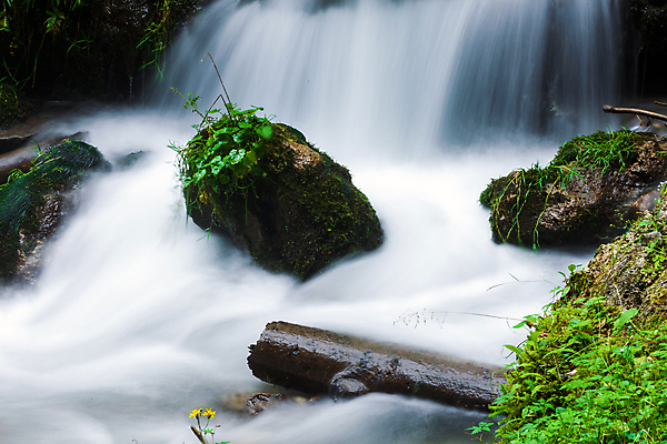 포토 JPG 해외이미지 공원 모션 자연 산 풍경 사람없음 야외 목재 초록색 물 강 뷰티 환경 봄 폭포 젖음 흐름 가을 바위 신선 개울 떨어짐 숲 내추럴 해외포토 자연요소 나무 계절 공공시설 컬러 컨셉 재료 돌_바위 생태계 파일형식 이미지허브