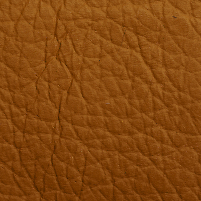 포토 JPG 해외이미지 동물 디자인 배너 옷 백그라운드 패턴 자연 벽지 표면 추상 프레임 미술 사람없음 갈색 유행 라벨 우주 축구 어둠 수확 조약돌 직물 거친 소 고급 가죽 피부 질감 복고 날것 정사각형 숨김 내추럴 소가죽 옛날 진짜 효과 해외포토 도형 컬러 컨셉 무늬 농업 포유류 문화예술 신체부위 구기 돌_바위 생태계 파일형식 이미지허브