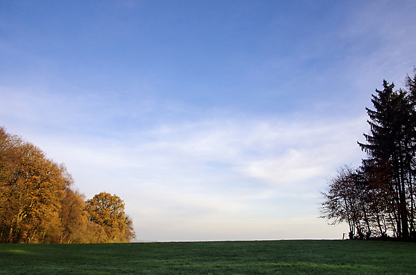 포토 JPG 해외이미지 자연 풍경 사람없음 마을 오픈 해외포토 생태계 파일형식 이미지허브