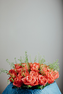 포토 JPG 해외이미지 스튜디오촬영 꽃 사람없음 장미 주황색 해외포토 식물 컬러 실내 파일형식 이미지허브