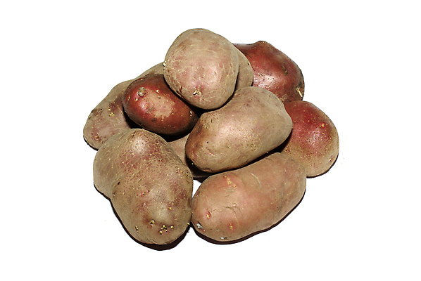 포토 JPG 해외이미지 라이프스타일 음식 백그라운드 농업 다이어트 채소 재료 감자 건강 요리 사람없음 농장 갈색 쌓기 주방 정원 식사 수확 성장 흰색 신선 그룹 시장 농부 자르기 먹기 오브젝트 유기농 날것 뿌리 흙더미 프랑스어 점심식사 고립 녹말 밭일 채식주의자 탄수화물 비건 해외포토 직업 문자 웰빙 산업 컬러 모션 생활 흙 채식 파일형식 더미 이미지허브