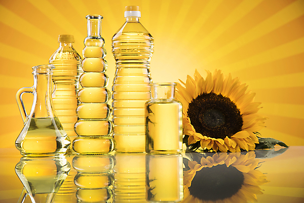 포토 JPG 해외이미지 잎 유리병 해바라기 실내 사람없음 반사 다양 식용유 올리브오일 노란배경 오일병 카놀라 해바라기씨유 해외포토 식물 꽃 다수 백그라운드 병_용기 내부 노란색 기름_음식 파일형식 이미지허브