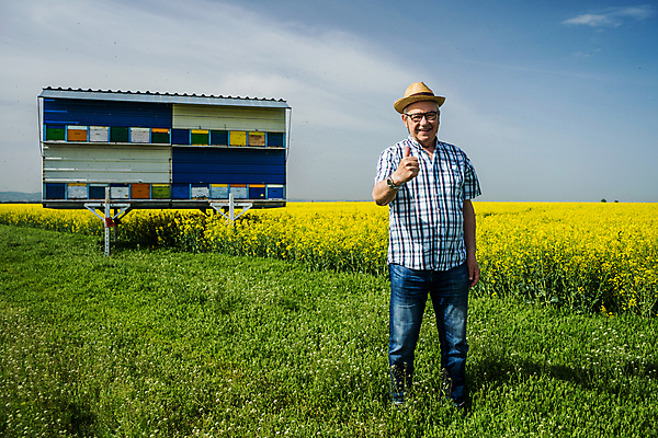 포토 JPG 해외이미지 식물 백인 직업 모자 행복 산업 밭 농업 자연 성공 한명 미소 성인 야외 농장 맑음 성장 농촌 최고 작업 체험 농부 벌 유채 꿀 벌집 양봉 카피스페이스 해외포토 서양인 1 잡화 꽃 감정 곤충 컨셉 날씨 표정 사람 공백 시골 생태계 파일형식 이미지허브