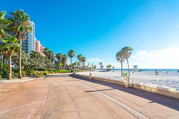 포토 JPG 해외이미지 나무 공원 모래 파도 여행 건축양식 자연 하늘 날씨 휴가 휴식 손바닥 사람 사람없음 야외 건물 물 파란색 모래사장 컬러풀 항구 맑음 미국 산책 흰색 만 만족 파라다이스 플로리다 해외포토 자연요소 식물 건축물 손 공공시설 건축 감정 바다 컬러 컨셉 북아메리카 교통시설 생태계 파일형식 이미지허브