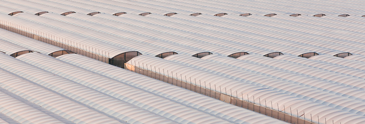 포토 JPG 해외이미지 디자인 외관 산업 음식 밭 농업 채소 비즈니스 건축양식 창문 공장 유리 주택 사람없음 건물 농장 환경 놀이방 덮개 투명 원예 상업 지구온난화 기후변화 밭일 온실 판유리 그리너리 효과 해외포토 건축물 건축 공업 재질 날씨 취미 뚜껑 변화 파일형식 트랜드컬러 이미지허브