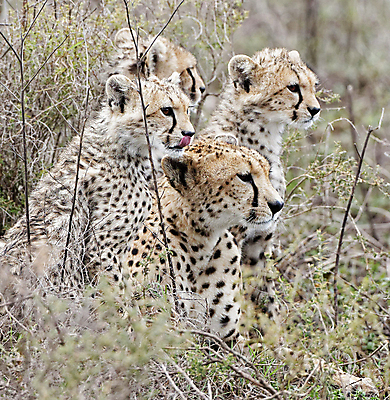 포토 JPG 해외이미지 여행 사람없음 여행객 탄자니아 해외포토 아프리카 사람 파일형식 이미지허브