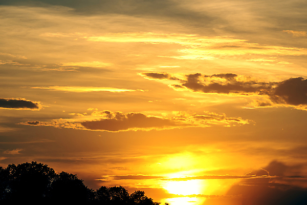 포토 JPG 해외이미지 구름 실루엣 여행 백그라운드 오렌지 자연 하늘 아침 날씨 추상 풍경 사람없음 야외 빨간색 물 여름 빛 컬러풀 햇빛 태양 뷰티 반사 노란색 일출 맑음 어둠 황혼 일몰 새벽 분위기 황금 저녁 천국 수평선 해외포토 주간 자연요소 계절 컬러 컨셉 무늬 과일 촬영기법 노을 야간 생태계 파일형식 이미지허브