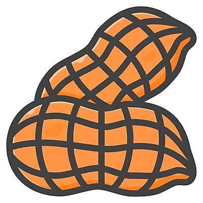 EPS 해외이미지 디자인 선 음식 다이어트 과일 일러스트 재료 자연 해바라기 건강 미술 씨앗 세트 견과류 껍질 소나무 플랫 밤 수집 심볼 사인 유기농 날것 윤곽 땅콩 호두 도토리 깨 코코넛 아몬드 브라질 알레르기 고립 단백질 얇은 엘리먼트 채식주의자 캐슈넛 피스타치오 피칸 개암 비건 해외일러스트 나무 식물 웰빙 열매 꽃 식재료 문화예술 조미료 남아메리카 질병 생태계 채식 영양소 파일형식 벡터 이미지허브