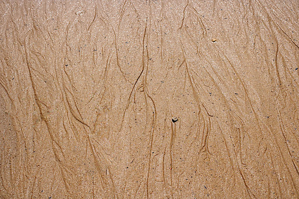 포토 JPG 해외이미지 모래 파도 바다 여행 백그라운드 자연 벽지 조류 표면 추상 휴가 휴식 풍경 해변 사람없음 야외 물 여름 파란색 빛 모래사장 햇빛 뷰티 우주 맑음 젖음 흰색 만 서핑 황금 떨어짐 정상 질감 내추럴 파라다이스 해외포토 자연요소 동물 계절 컬러 컨셉 무늬 날씨 태양 수상스포츠 생태계 파일형식 이미지허브