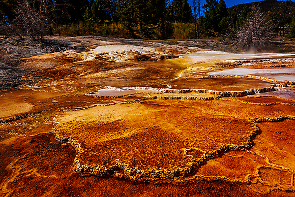 포토 JPG 해외이미지 북아메리카 자연 풍경 사람없음 야외 가로 컬러풀 미국 와이오밍 해외포토 컬러 아메리카 생태계 파일형식 이미지허브