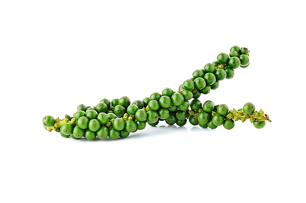 포토 JPG 해외이미지 아시아 음식 잎 농업 채소 재료 건강 요리 씨앗 사람없음 초록색 갈색 쌓기 주방 검은색 뜨거움 조미료 시장 작음 낟알 허브 향신료 유기농 매움 알맹이 향료 후추 흙더미 내추럴 해외포토 식물 웰빙 나라 산업 컬러 모션 흙 맛 크기 향기 냄새 향미료 파일형식 더미 이미지허브