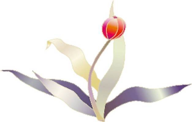 EPS 해외이미지 식물 계절 꽃 야생동물 백그라운드 꽃무늬 일러스트 자연 추상 장식 빨간색 컬러풀 정원 목도리 튤립 스케치 그림 생물학 정사각형 핸드메이드 스타일 해외일러스트 도형 동물 잡화 교육 컬러 무늬 미술 생태계 파일형식 벡터 이미지허브