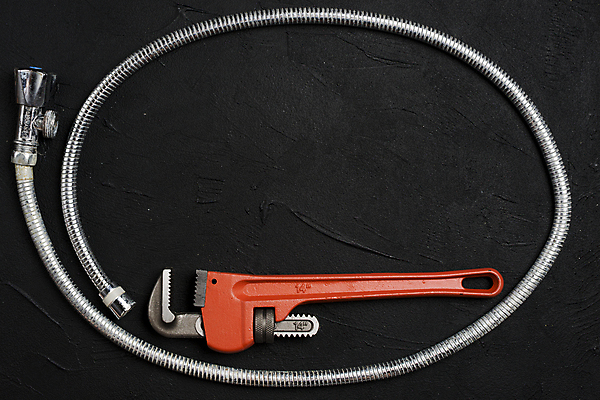 포토 JPG 해외이미지 동물 꽃 백그라운드 컨셉 신체 채소 과일 자연 벽지 추상 프레임 씨앗 안전 사람 사람없음 건물 상자 컬러풀 기계 공백 견과류 정상 천 보고서 비타민 요거트 해외포토 식물 건축물 컬러 무늬 유제품 직물 생태계 영양소 파일형식 이미지허브