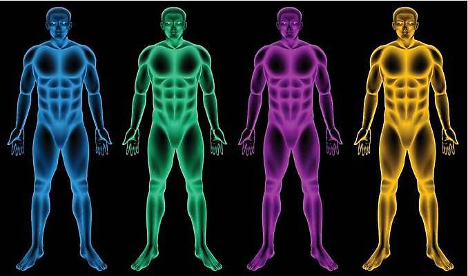 EPS 해외이미지 직업 교육 남자 아들 무기 과학 백그라운드 일러스트 남편 골격 사람 소년 그래픽 컬러풀 검은색 입 아빠 그림 코 간 근육질 정맥 췌장 고립 남동생 지라 해외일러스트 어린이 컬러 가족 근육 신체부위 장기_의학 몸매 혈관 동생 파일형식 벡터 이미지허브