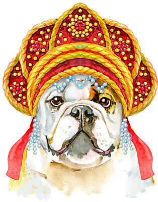 포토 JPG 해외이미지 디자인 백그라운드 일러스트 수채화 미술 사람없음 반려동물 개 강아지 머리장식 불독 러시아의상 전통모자 해외일러스트 동물 모자_잡화 포유류 문화예술 장식 전통의상 파일형식 이미지허브