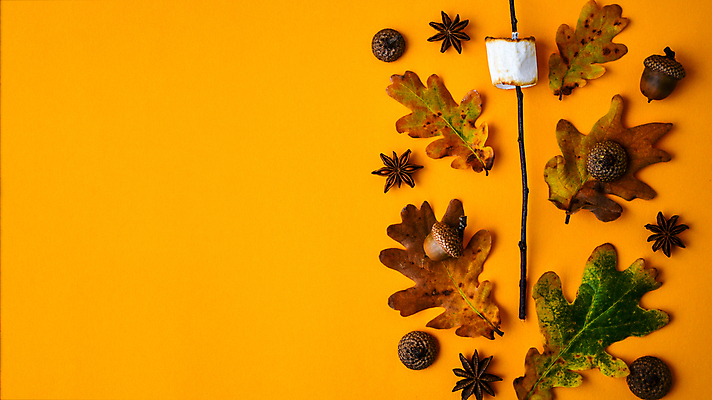 포토 JPG 해외이미지 단풍 낙엽 실내 사람없음 하이앵글 나뭇가지 도토리 마시멜로우 카피스페이스 주황색배경 해외포토 나무 뷰포인트 백그라운드 잎 디저트 내부 주황색 공백 견과류 파일형식 이미지허브