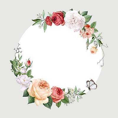 EPS 해외이미지 한마리 나비 잎 일러스트 프레임 사람없음 원형 꽃봉오리 해외일러스트 도형 식물 1 꽃 곤충 파일형식 벡터 이미지허브