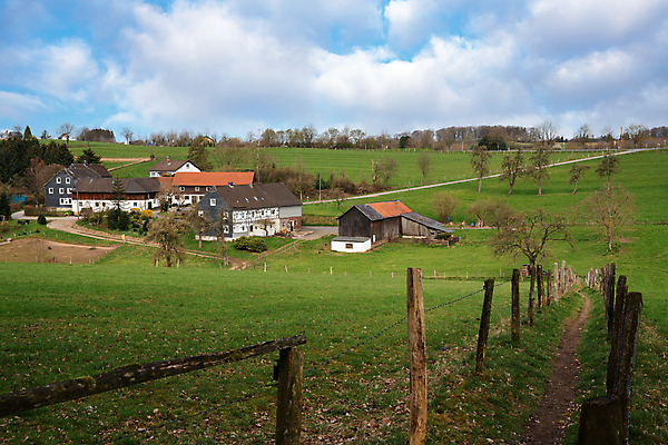 포토 JPG 해외이미지 식물 유럽 길 여행 자국 자연 하늘 독일 파노라마 사람없음 야외 관광지 환경 하이킹 시골 오솔길 생태계 내추럴 해외포토 나라 레저 촬영기법 파일형식 이미지허브