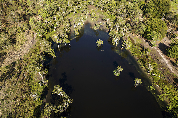 포토 JPG 해외이미지 나무 식물 호수 야생동물 선 잎 패턴 곡선 자연 추상 안테나 사람없음 야외 초록색 물 노란색 환경 나뭇가지 시골 연못 해조류 호주 보호 생태계 질감 서식지 석호 내추럴 드론 잔물결 내려보기 해외포토 자연요소 동물 물결 컬러 컨셉 무늬 통신 모션 해양식물 오세아니아 파일형식 이미지허브