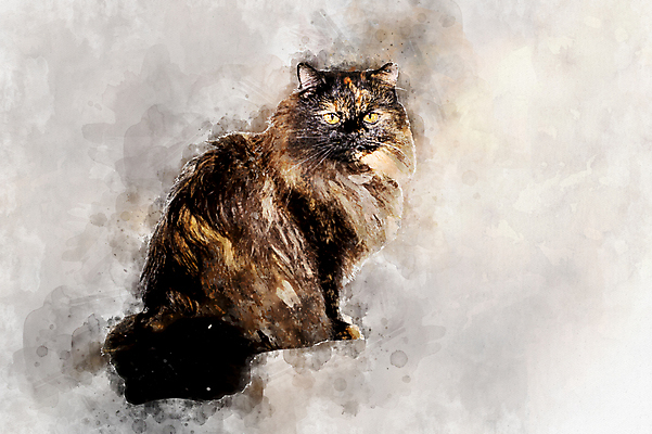 포토 JPG 해외이미지 동물 응시 백그라운드 포유류 태국 휴식 친절 거리 주택 털 건강 사랑 앉기 사람없음 반려동물 노란색 고양이 페인트 놀이방 대접 호기심 그림 솜털 수의사 노숙자 거짓말 기르기 돌봄 수유 충실 헬프 혼자 해외포토 시선 감정 아시아 컬러 컨셉 모션 건물 의사 도움 파일형식 이미지허브