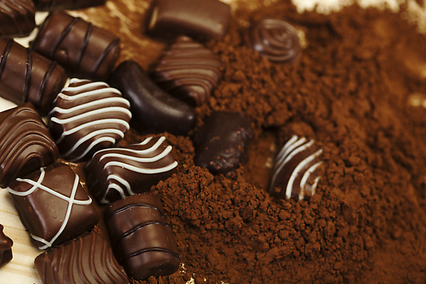 포토 JPG 해외이미지 디저트 사람없음 아웃포커스 초콜릿 달콤 코코아가루 해외포토 음식 촬영기법 맛 가루 파일형식 이미지허브