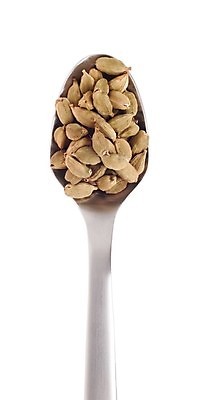 포토 JPG 해외이미지 음식 백그라운드 재료 건조 요리 사람없음 숟가락 흰색 뜨거움 양념 맛 가루 인도인 향신료 유기농 매움 아로마 고립 꼬투리 땅바닥 이국적 철강 해외포토 외국인 웰빙 컬러 컨셉 바닥 수저 동양인 향미료 파일형식 이미지허브