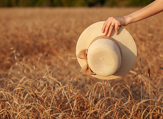 포토 JPG 해외이미지 식물 백인 모델 모자 손 드레스 여자 행복 백그라운드 밭 농업 자연 하늘 건강 사람 풍경 초원 사람없음 야외 여름 뷰티 농장 노란색 유행 일몰 기쁨 자유 수확 가을 시골 황금 낟알 시리얼 밀 보리 귀 밀짚 내추럴 혼자 해외포토 서양인 잡화 옷 계절 감정 산업 음식 컬러 컨셉 곡류 신체부위 노을 짚 생태계 파일형식 이미지허브