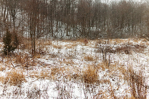포토 JPG 해외이미지 나무 구름 계절 공원 호수 여행 크리스마스 캐나다 겨울 자연 휴가 영국 산 풍경 사람없음 야외 목재 물 빛 강 달리기 태양 평화 냉동 얼음 꿈 추위 흰색 시골 개울 콜롬비아 숲 서리 장면 태평양 마법 내추럴 눈내림 해외포토 자연요소 식물 공공시설 기념일 유럽 바다 컬러 컨셉 북아메리카 재료 모션 눈_날씨 남아메리카 생태계 파일형식 이미지허브