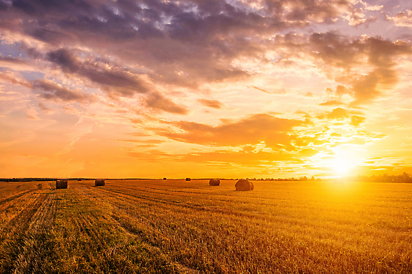 포토 JPG 해외이미지 자연 하늘 사람없음 야외 햇빛 태양 일몰 건초더미 해외포토 자연요소 노을 건초 생태계 파일형식 더미 이미지허브