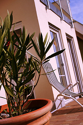 포토 JPG 해외이미지 식물 디자인 벽 건축양식 창문 가족 하늘 지붕 벽돌 새로움 주택 사람없음 건물 목재 에너지 발코니 흰색 보행로 계획 큼 타일 그림 통조림 공학 리빙 고체 수목 콘크리트 해외포토 나무 건축물 교육 건축 길 컬러 컨셉 재료 관계 크기 파일형식 이미지허브