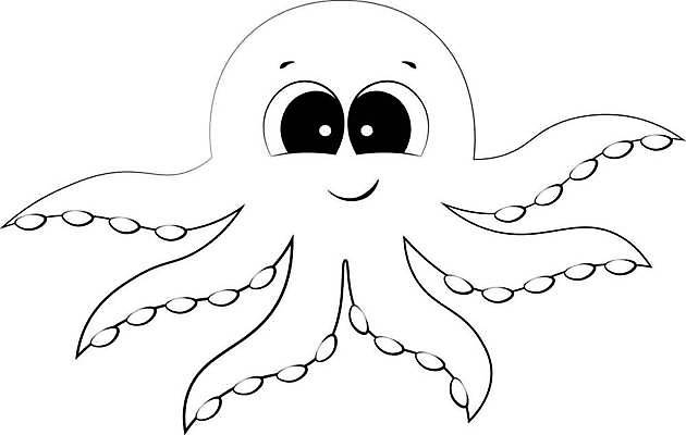 EPS 해외이미지 클립아트 동물 캐릭터 디자인 야생동물 선 바다 스티커 일러스트 포장 자연 생물 어류 미술 그래픽 장식 물 상자 디지털 수중 공책 수영 신용카드 낙서 인쇄 스케치 오징어 그림 윤곽 문어 수족관 촉수 고립 마스코트 몬스터 엘리먼트 해외일러스트 일러캐릭터 자연요소 문화예술 문구용품 연체동물 금융 수중동물 수상스포츠 생태계 파일형식 벡터 이미지허브