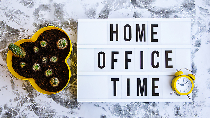 포토 JPG 해외이미지 화분 선인장 실내 사람없음 하이앵글 탁상시계 대리석 재택근무 라이트박스 선인장화분 해외포토 식물 뷰포인트 시계 비즈니스 재료 내부 파일형식 이미지허브