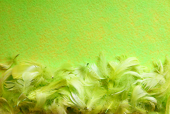 포토 JPG 해외이미지 전통 디자인 배너 계절 행복 종교 음식 백그라운드 컨셉 휴가 부활절 주택 기념 프레임 선물 이벤트 사람없음 장식 초록색 빛 바구니 우주 계란 봄 축하 인사 신용카드 예수 둥지 정상 4월 깃털 엽서 에메랄드 부드러움 일요일 구성 메추리 핸드메이드 플랫레이 해외포토 기념일 감정 컬러 건물 금융 알 예절 신_종교 감각 날짜 플랫 보석 편지 요일 파일형식 이미지허브