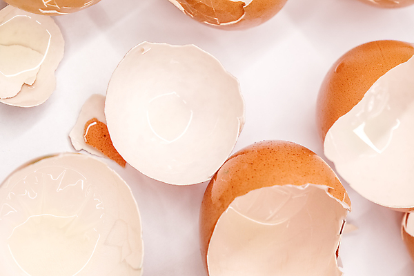 포토 JPG 해외이미지 실내 근접촬영 사람없음 계란 계란껍데기 흰배경 해외포토 뷰포인트 백그라운드 내부 알 흰색 파일형식 이미지허브