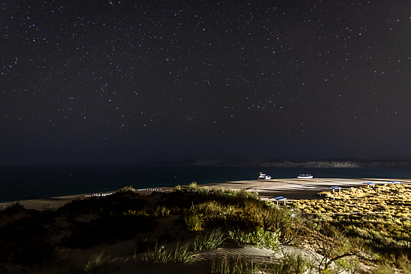 포토 JPG 해외이미지 나무 구름 실루엣 별 바다 여행 백그라운드 오렌지 자연 하늘 풍경 사람없음 초록색 여름 빛 태양 뷰티 농장 어둠 일몰 달 흰색 시골 만 오염 산호 호주 야간 저녁 은하계 내추럴 방법 오지 잇몸 수평선 해외포토 자연요소 식물 계절 컬러 농업 신체 과일 촬영기법 노을 오세아니아 자포동물 생태계 파일형식 이미지허브