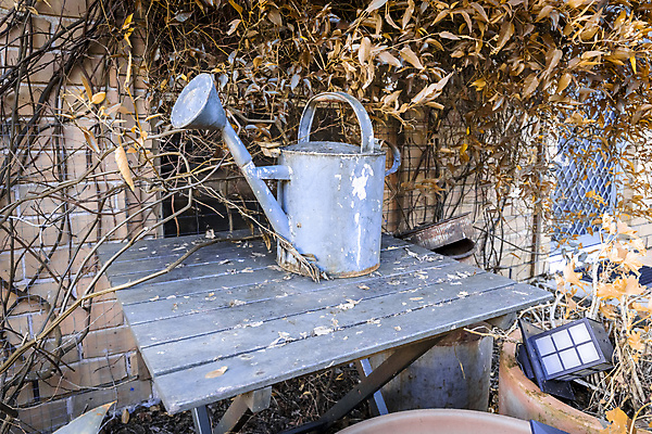 포토 JPG 해외이미지 식물 잎 자연 탁자 벽돌 주택 손잡이 이끼 풍경 사람없음 목재 장식 초록색 물 여름 갈색 환경 금속 정원 페인트 물뿌리개 젖음 성장 화려 그리기 캔 물주기 부식 포도나무 튜브 옛날 철강 해외포토 자연요소 나무 계절 컬러 가구 컨셉 재료 모션 재질 건물 과일나무 생태계 파일형식 이미지허브