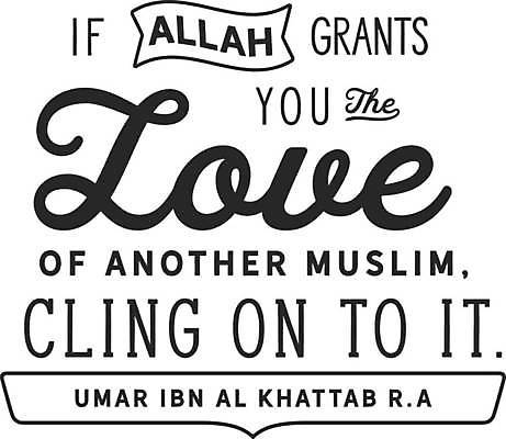 EPS 해외이미지 영어 리본 일러스트 타이포그라피 사람없음 검은색 글귀 필기체 해외일러스트 문자 컬러 표어 파일형식 벡터 이미지허브