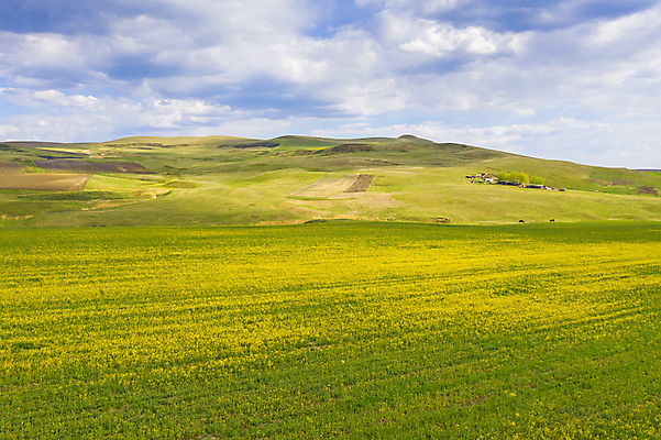 포토 JPG 해외이미지 나무 식물 구름 꽃 도로 지구 백그라운드 밭 농업 자연 추상 산 안테나 파노라마 풍경 초원 사람없음 초록색 여름 노란색 환경 맑음 봄 자유 성장 벚꽃 시골 땅 언덕 유채 내추럴 드론 조감도 카놀라 수평선 세련 해외포토 자연요소 계절 산업 길 컬러 컨셉 무늬 통신 교통시설 날씨 촬영기법 생태계 파일형식 이미지허브