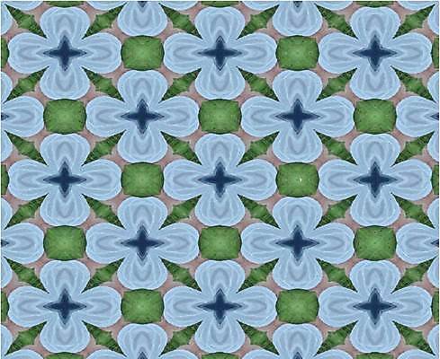 EPS 해외이미지 모양 템플릿 디자인 종이 선 벽 백그라운드 꽃무늬 패턴 일러스트 벽지 표면 추상 미술 내부 그래픽 장식 유행 검은색 수확 흰색 직물 인쇄 천 타일 질감 복고 모자이크 기하학 내추럴 그런지 엘리먼트 포장소품 스타일 반복 해외일러스트 꽃 컬러 무늬 농업 포장 문화예술 오브젝트 포장재료 파일형식 벡터 이미지허브