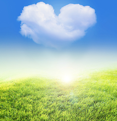 포토 JPG 해외이미지 모양 식물 구름 디자인 계절 여자 꽃 백그라운드 컨셉 꽃무늬 밭 자연 하늘 추상 발렌타인데이 건강 사랑 풍경 초원 사람없음 야외 초록색 여름 파란색 빛 햇빛 태양 뷰티 환경 맑음 봄 낭만 자유 하트 시골 신선 땅 심볼 장면 평야 수평선 해외포토 자연요소 감정 컬러 무늬 농업 데이이벤트 날씨 사람 생태계 파일형식 이미지허브