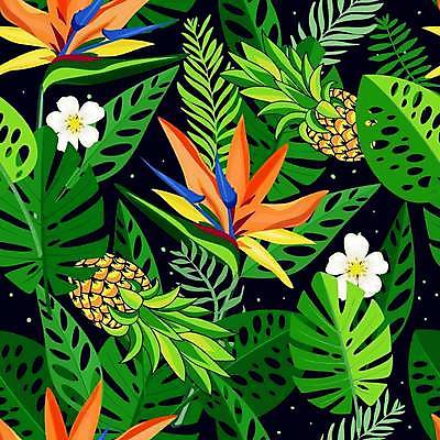 EPS 해외이미지 패턴 일러스트 사람없음 초록색 패턴백그라운드 파인애플 극락조화 몬스테라 열대꽃 열대잎 트로피컬아트 해외일러스트 식물 꽃 컬러 백그라운드 잎 무늬 과일 열대과일 그림 파일형식 벡터 이미지허브