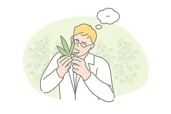 EPS 해외이미지 응시 남자 과학 생각 일러스트 실험 들기 의사 관찰 연구원 과학자 분석 고민 대마초 해외일러스트 직업 시선 감정 컨셉 모션 사람 의료진 마약 학자 파일형식 벡터 이미지허브