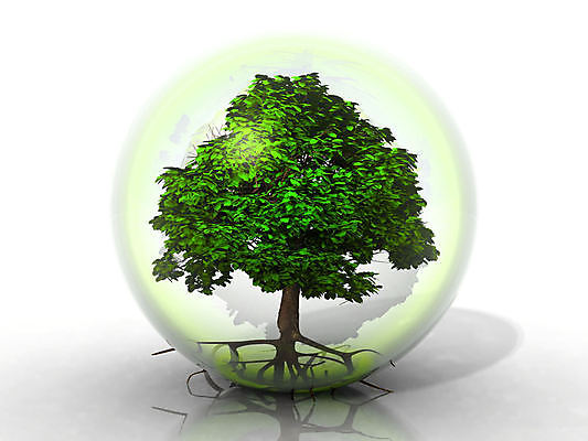 포토 JPG 해외이미지 나무 식물 구름 디자인 계절 문화 캠페인 단풍 잎 채소 자연 하늘 날씨 안전 풍경 초원 사람없음 야외 초록색 파란색 반사 평화 환경 거품 거울 시골 시간 투명 고독 보호 위험 시원함 보안 장면 시트 생태학 해외포토 자연요소 교육 감정 컬러 컨셉 생태계 파일형식 이미지허브