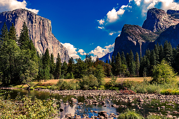 포토 JPG 해외이미지 공원 자연 산 사람없음 캘리포니아 요세미티국립공원 해외포토 공공시설 국립공원 미국 생태계 파일형식 이미지허브