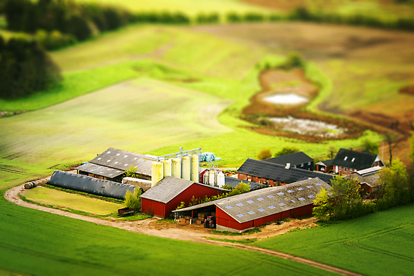 포토 JPG 해외이미지 나무 식물 도로 여행 백그라운드 이동 밭 농업 자연 지붕 산 주택 사람없음 야외 건물 목재 빨간색 초록색 농장 농경지 평화 환경 계곡 봄 시골 낟알 땅 언덕 생태계 갸우뚱 내추럴 외양간 밭일 생태학 효과 해외포토 건축물 계절 교육 산업 길 컬러 컨셉 재료 교통시설 모션 파일형식 이미지허브