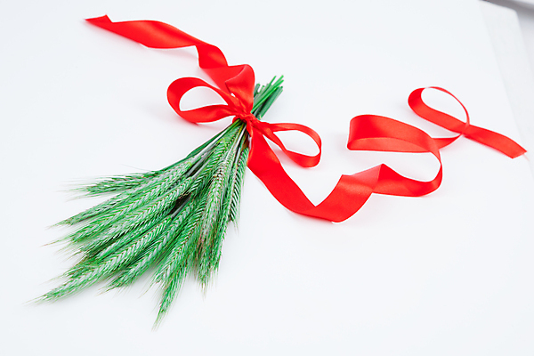 포토 JPG 해외이미지 음식 빵 밭 농업 재료 건강 사람없음 농장 수확 흰색 시골 낟알 시리얼 밀 다발 흰배경 날것 보리 귀 스파이크 밀짚 흙더미 내추럴 고립 호밀 해외포토 산업 컬러 백그라운드 곡류 신체부위 흙 짚 파일형식 더미 이미지허브