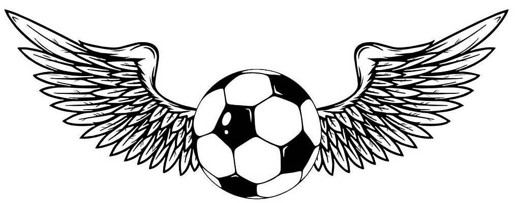 EPS 해외이미지 디자인 스포츠 날개 일러스트 장난 축구공 공 놀이 건강 미술 사람 취미 야외 그래픽 빛 운동 점프 검은색 축구 경쟁 장비 게임 흰색 잡기 은색 가죽 심볼 깃털 오브젝트 고립 골 엘리먼트 여의주 토너먼트 스타일 해외일러스트 컬러 컨셉 축구용품 모션 문화예술 구기 파일형식 벡터 이미지허브