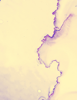 포토 JPG 해외이미지 모양 템플릿 디자인 배너 종이 벽 파도 분홍색 결혼 백그라운드 패턴 벽지 잉크 경사 사람없음 노란색 유행 페인트 흐름 붓 얼룩 신용카드 액체 팔레트 떨어짐 그림 질감 캔버스 대리석 부드러움 창백 그런지 파스텔톤 아크릴 해외포토 바다 컬러 컨셉 무늬 재료 재질 이벤트 금융 감각 파일형식 이미지허브