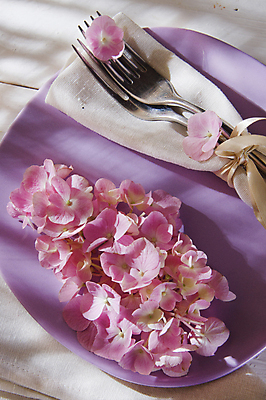 포토 JPG 해외이미지 식물 접시 꽃잎 꽃 분홍색 포크 자연 탁자 사람없음 여름 뷰티 정원 봄 흐름 신선 우아함 향기 수국 내추럴 해외포토 식기 계절 컬러 가구 컨셉 생태계 냄새 파일형식 이미지허브