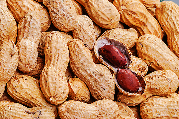 포토 JPG 해외이미지 건조 사람없음 갈색 껍질 알맹이 땅콩 해외포토 컬러 견과류 파일형식 이미지허브